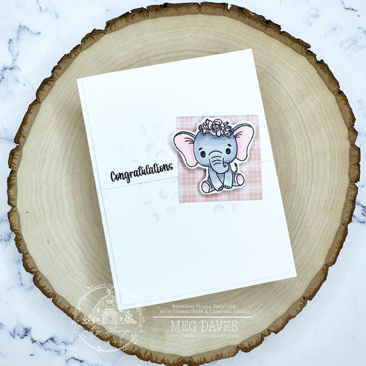 New Arrival Elephants with Meg