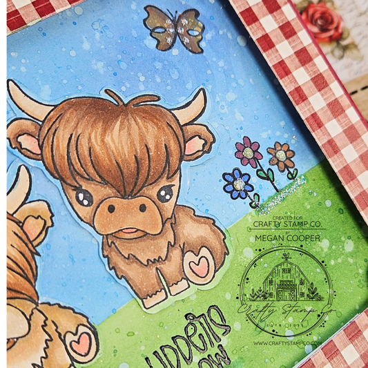 Country Charm and Heilan Coos Cuteness with Megan Cooper
