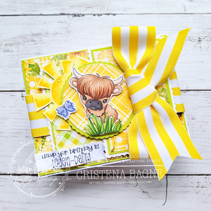 Heilan Coos 4x6 Stamp Set