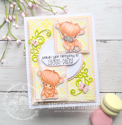 Heilan Coos 4x6 Stamp Set