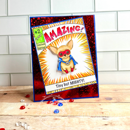 On The Cover 4x6 Stamp Set